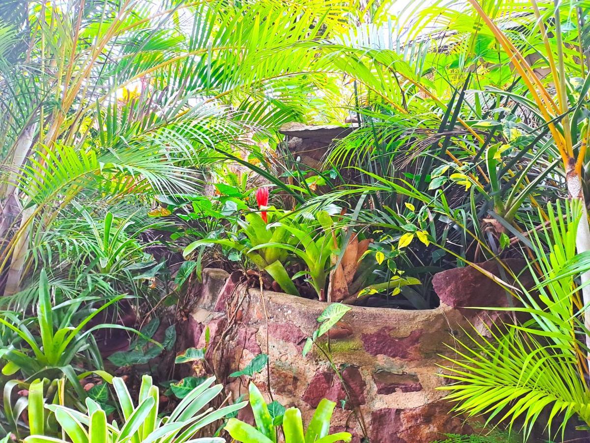 Old Mill Guest House Durban Exteriör bild